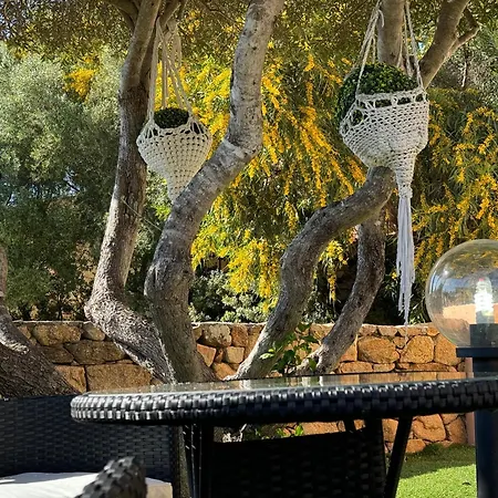 Vakantiehuis Ciclone House Olbia