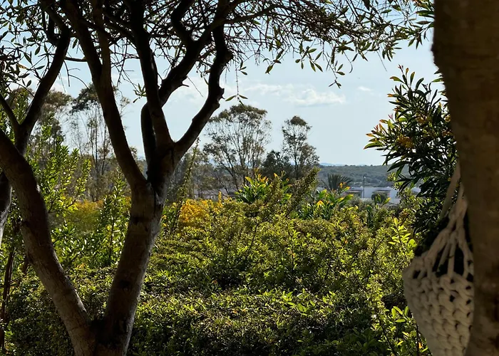 Ciclone House Дом отдыха Ольбия